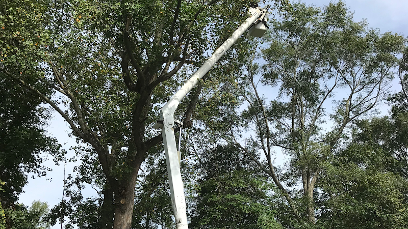 Green Paradise Landscaping & Tree Service
