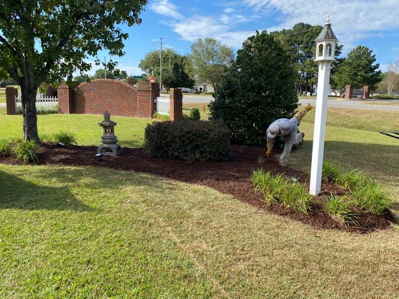 Green Paradise Landscaping & Tree Service photo 3