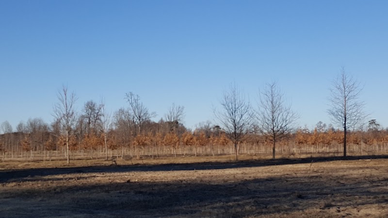 Landscape Design photo 3