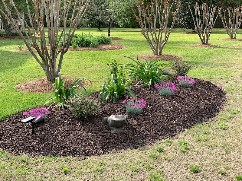 Second Spring Lawn and Garden photo 3