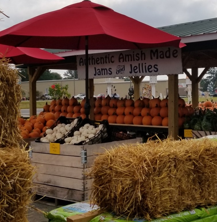 Timmy's Roadside Gardens photo 2