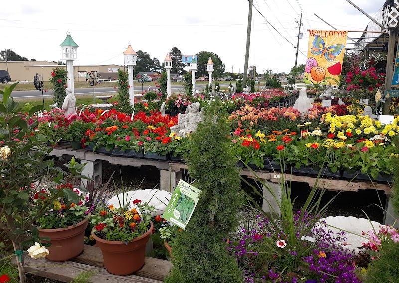 Timmy's Roadside Gardens photo 3